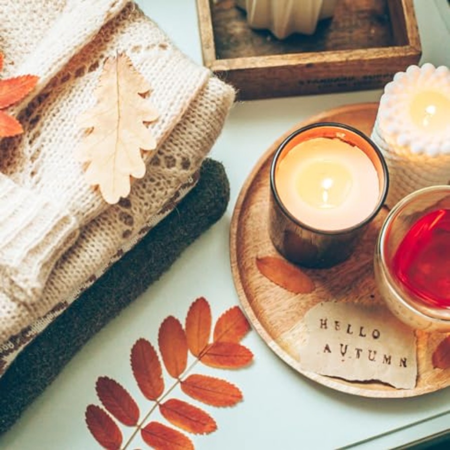 14 OZ Thick Candle Jars for Ma - Candle Making Jars With Lids のレビューと価格